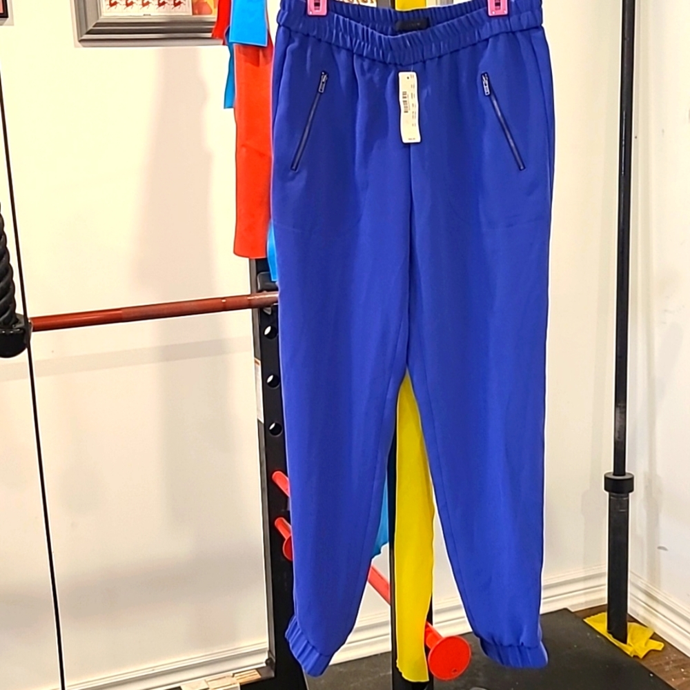 J. Crew Royal Blue Pants